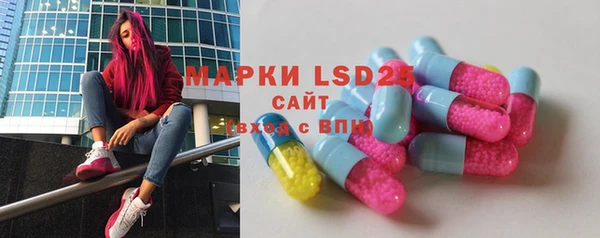 ПСИЛОЦИБИНОВЫЕ ГРИБЫ Каменка