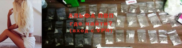 Альфа ПВП Каменногорск