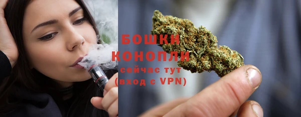 ПСИЛОЦИБИНОВЫЕ ГРИБЫ Каменка