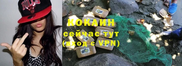 ПСИЛОЦИБИНОВЫЕ ГРИБЫ Каменка