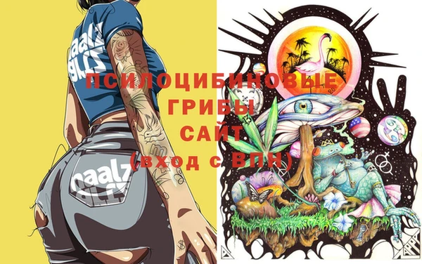 метадон Касимов