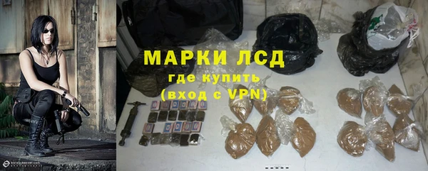 ПСИЛОЦИБИНОВЫЕ ГРИБЫ Каменка