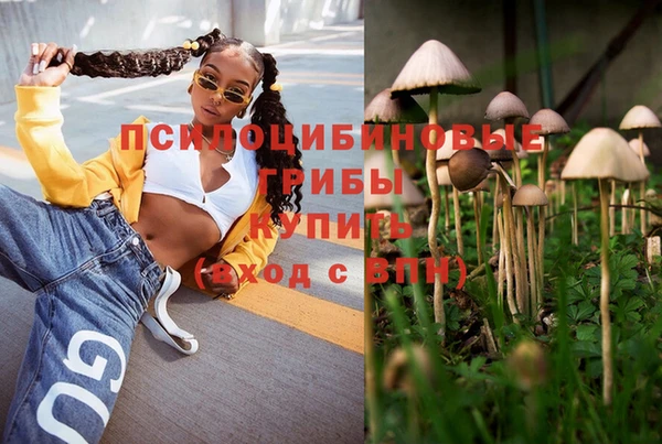 Альфа ПВП Каменногорск
