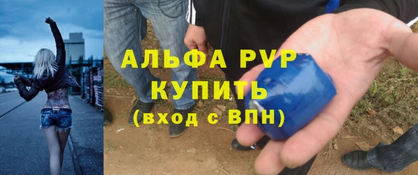 ПСИЛОЦИБИНОВЫЕ ГРИБЫ Каменка