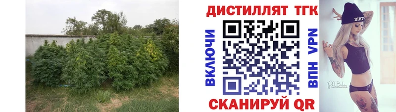 ТГК вейп с тгк  Златоуст 